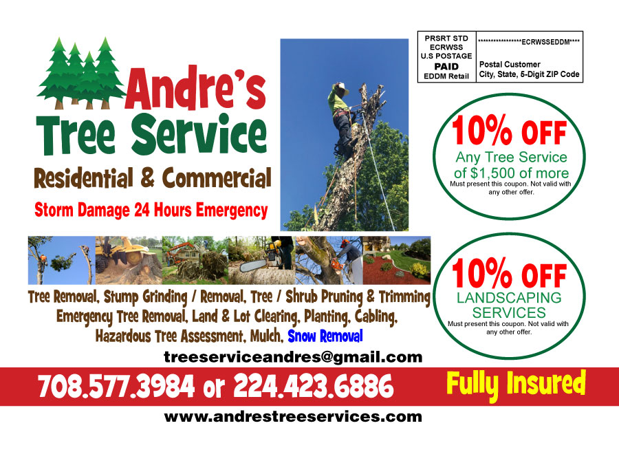 ANDRES-TREE-SERVICE-FLYER